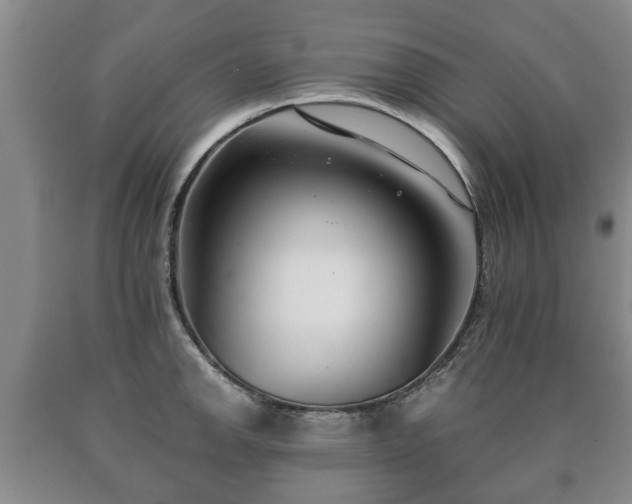 X0000090701142200707271103