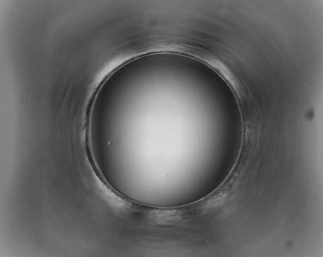 X0000090701143200707271103