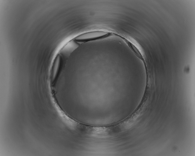 X0000090701144200707271103