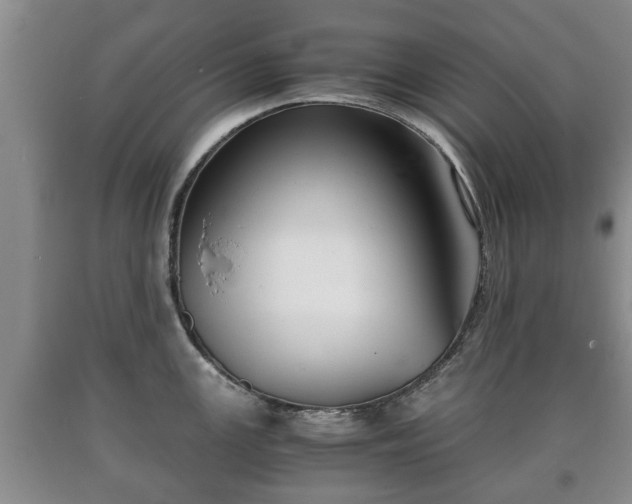 X0000090701147200707271103