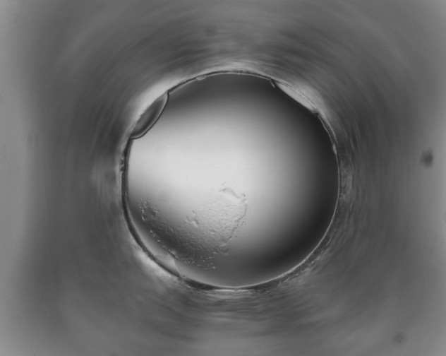 X0000090701151200707271103