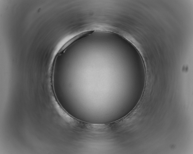 X0000090701152200707271103