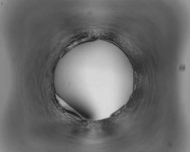 X0000090701153200707271102