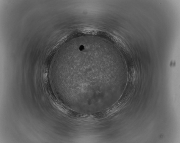 X0000090701154200707271102