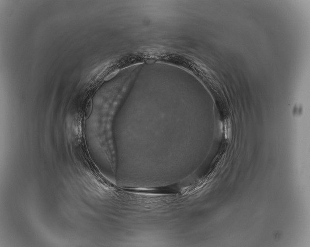 X0000090701155200707271102