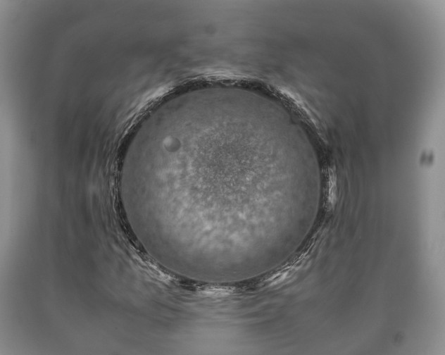 X0000090701157200707271102