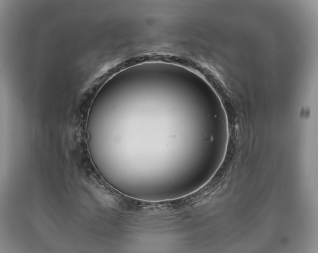 X0000090701159200707271102