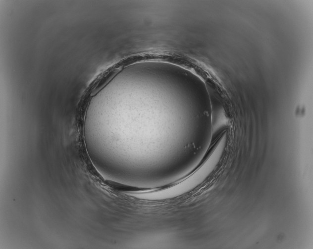 X0000090701160200707271102