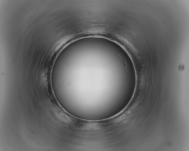 X0000090701162200707271102