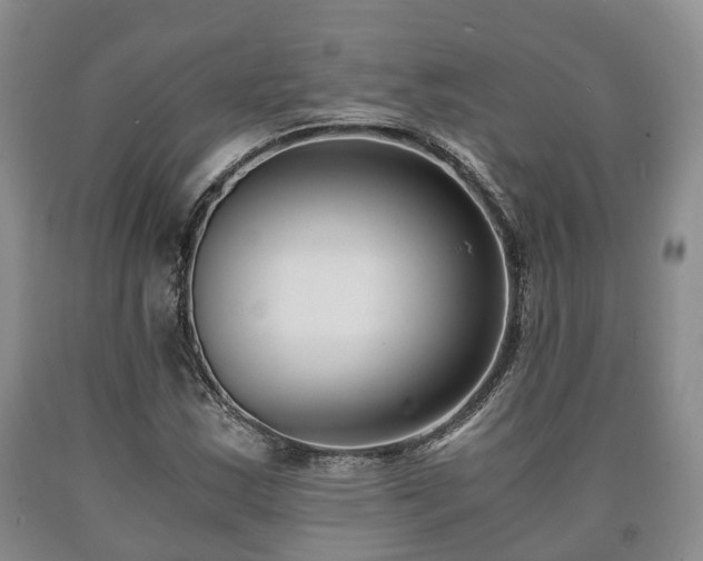 X0000090701163200707271102