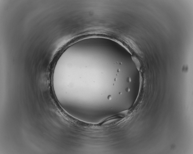 X0000090701164200707271102