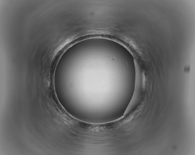 X0000090701165200707271102