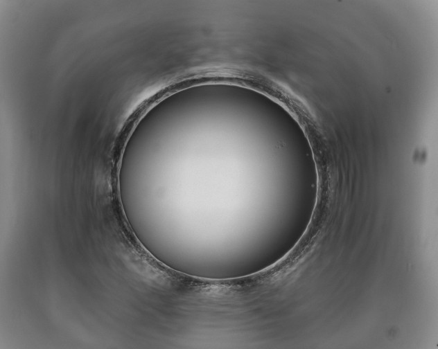 X0000090701166200707271102