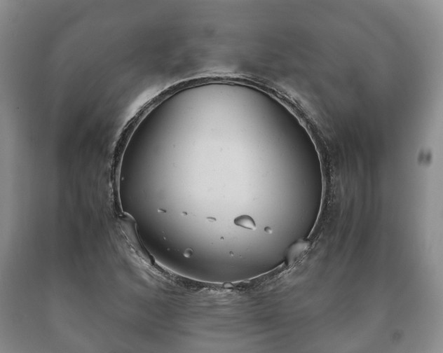 X0000090701168200707271102