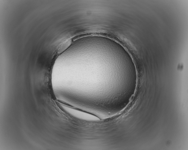 X0000090701169200707271102