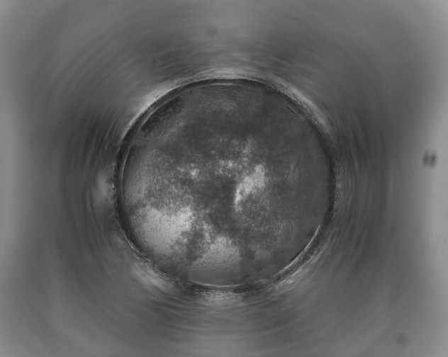 X0000090701170200707271102