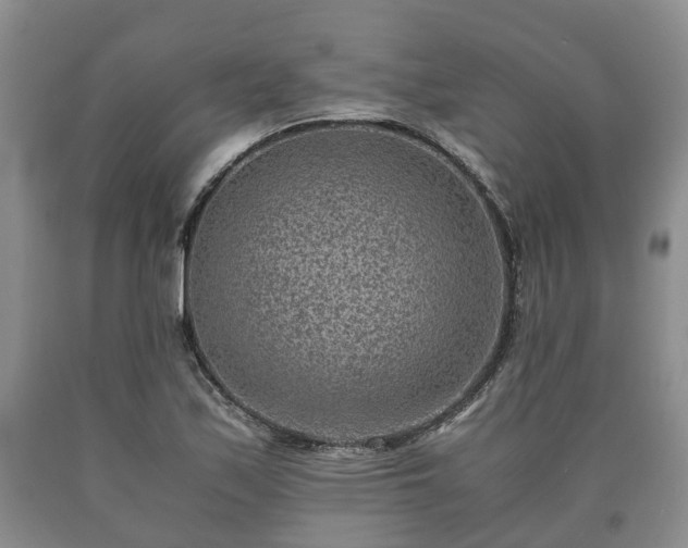 X0000090701171200707271102