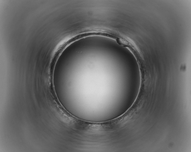 X0000090701172200707271102