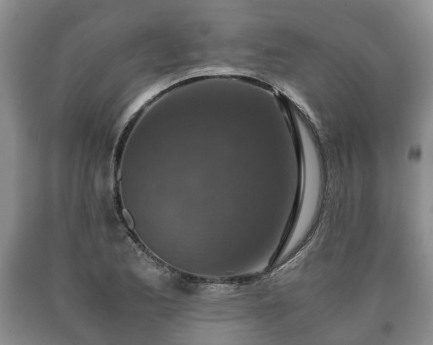 X0000090701173200707271102