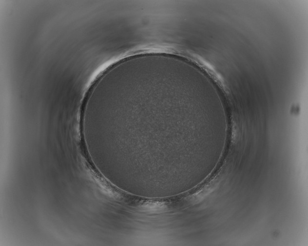 X0000090701174200707271102