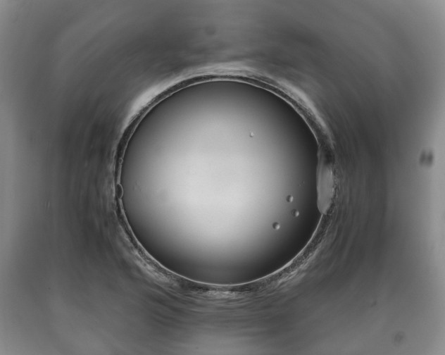 X0000090701176200707271102