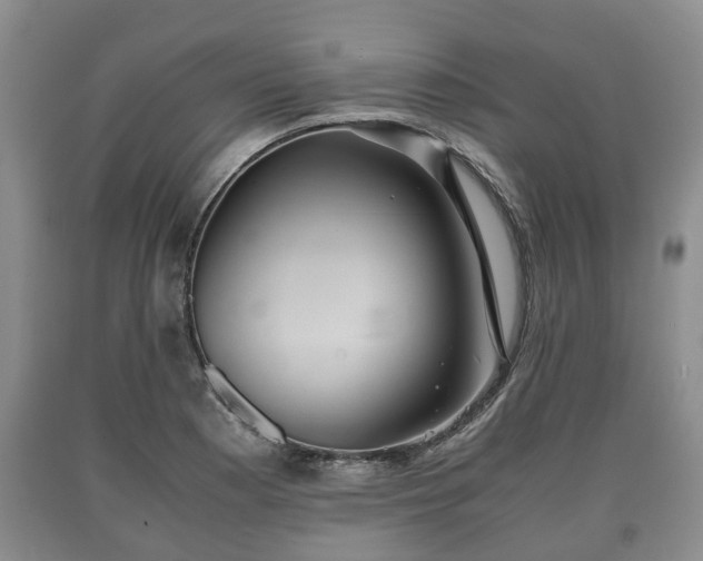 X0000090701177200707271102