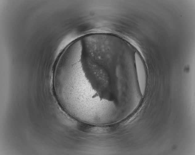 X0000090701179200707271102