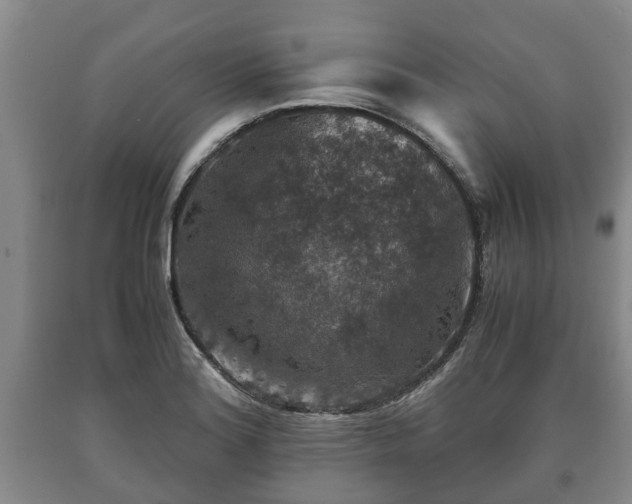 X0000090701180200707271102