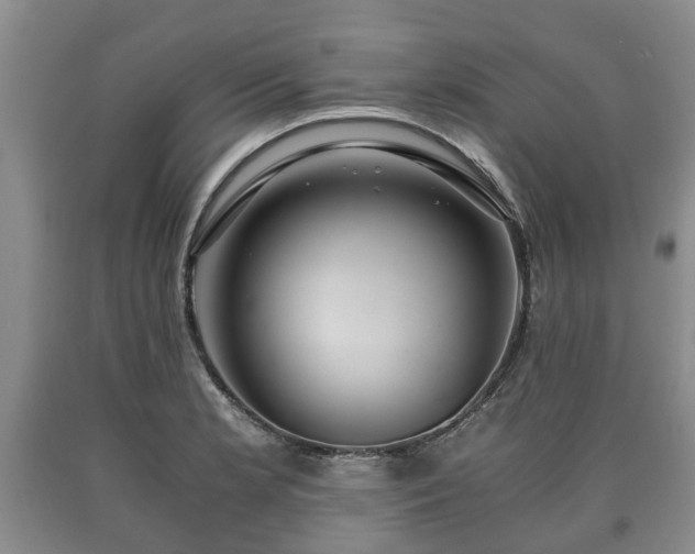 X0000090701181200707271102