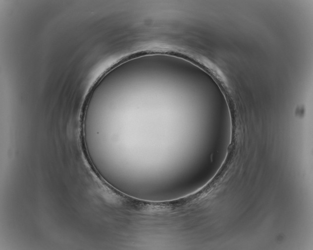 X0000090701183200707271102