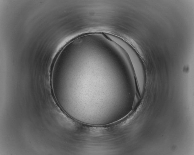 X0000090701184200707271102