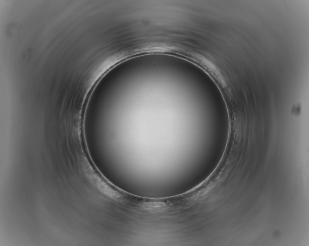 X0000090701186200707271102