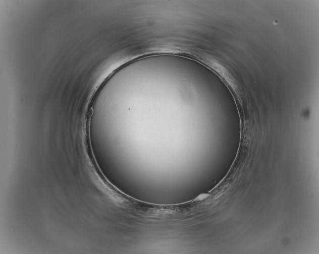 X0000090701187200707271102