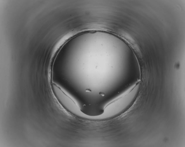 X0000090701188200707271102