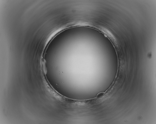 X0000090701190200707271102