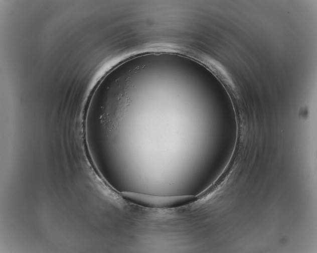 X0000090701192200707271102