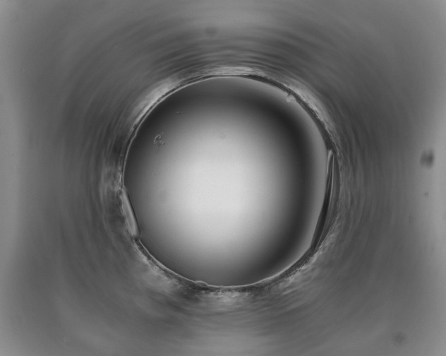 X0000090701193200707271102