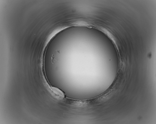 X0000090701195200707271102