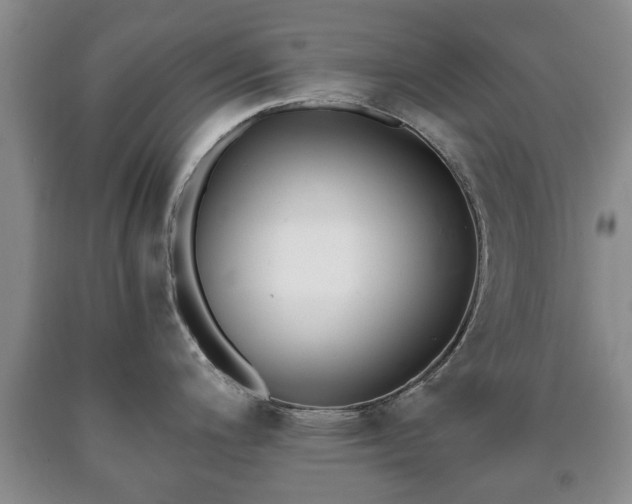 X0000090701200200707271101