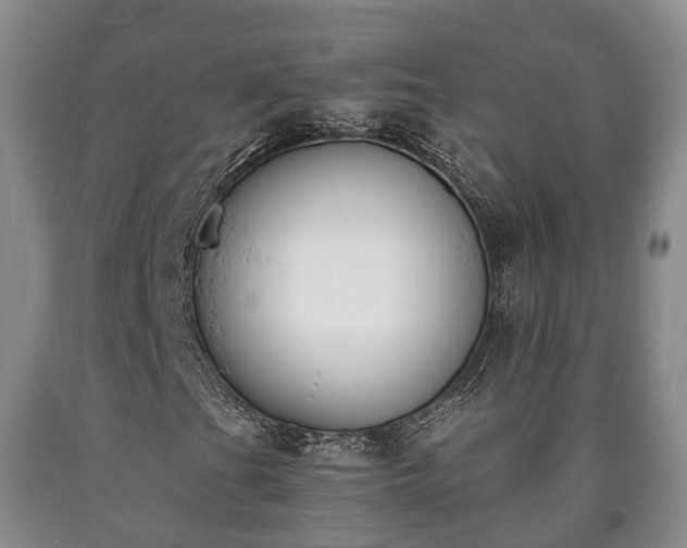 X0000090701201200707271101