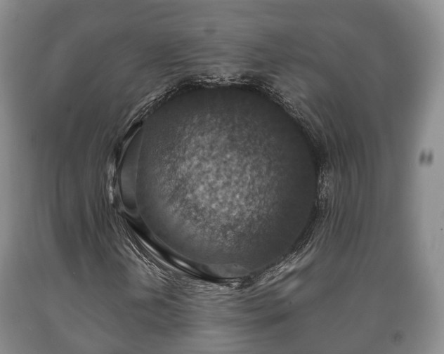 X0000090701202200707271101