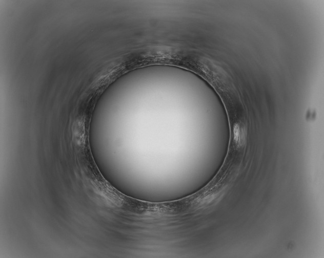 X0000090701203200707271101