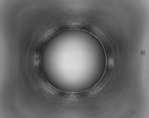 X0000090701204200707271101