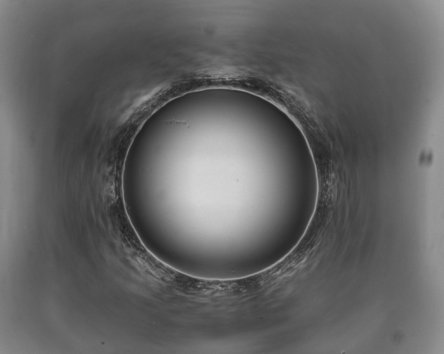 X0000090701205200707271101