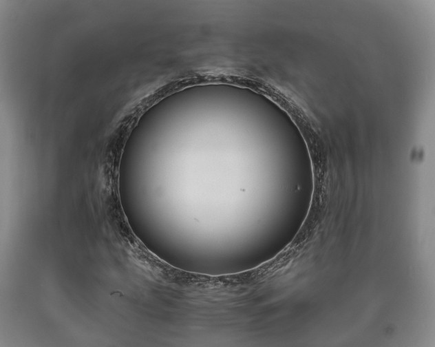 X0000090701207200707271101