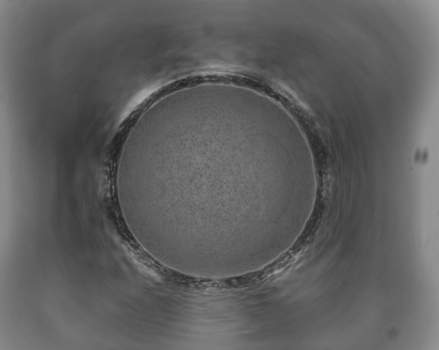 X0000090701208200707271101