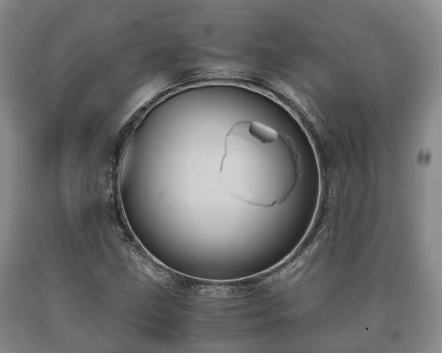 X0000090701211200707271101