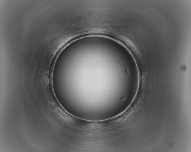 X0000090701212200707271101