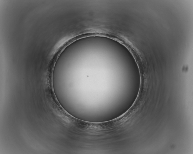 X0000090701215200707271101