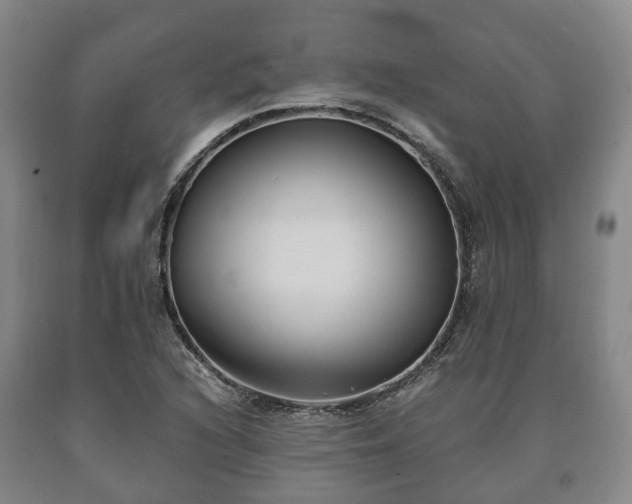 X0000090701216200707271101